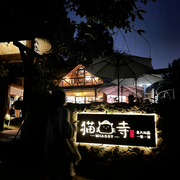 猫猫寺11