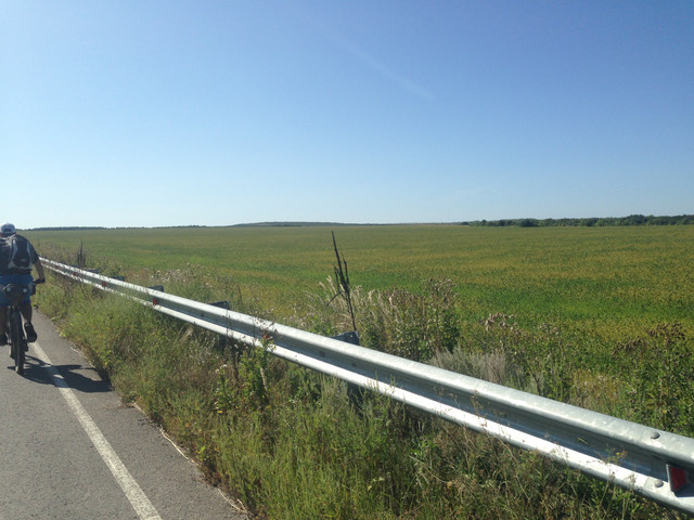 IMG-4151.jpg