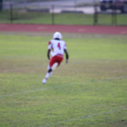 IMG-2193