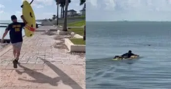 Dog Rescued from Bay After Struggle Against Current