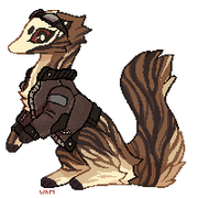 dizzywing-dressuprep-03