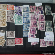 IMG-3569