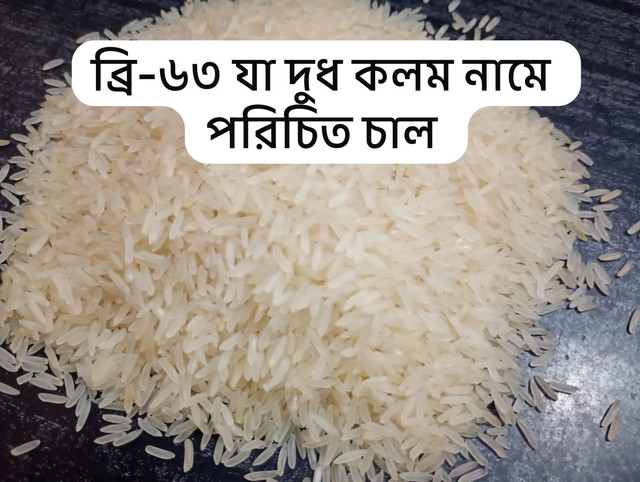 Brri-63-Rice(25kg) 3