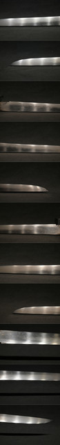 DSC5143.jpg