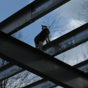 IMG-1288
