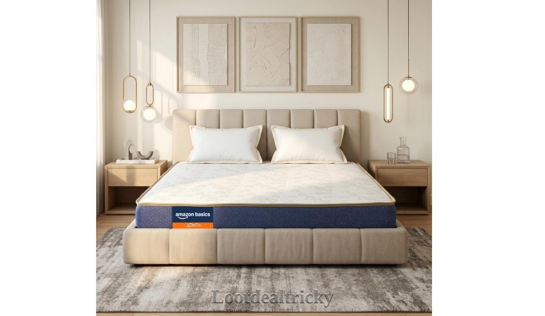 Loootamazon Basics Dual – Excellent Saving Offer @ ₹7345