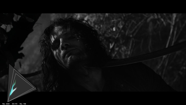 gamut-LOTR10137
