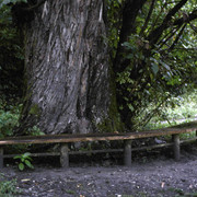 DSC7090