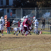 IMG-3554