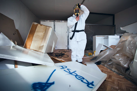 Mold Removal Mold-Removal