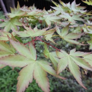 P1230888