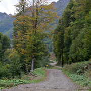 DSC-6966
