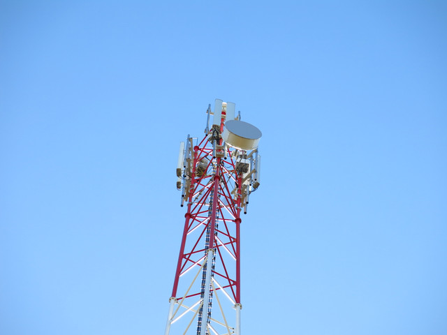 IMG-1503