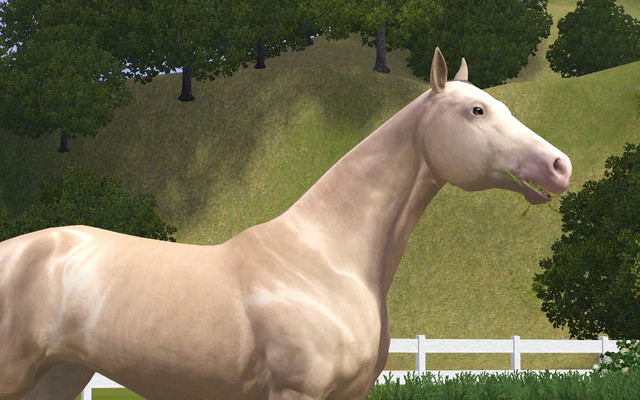 Screenshot-411