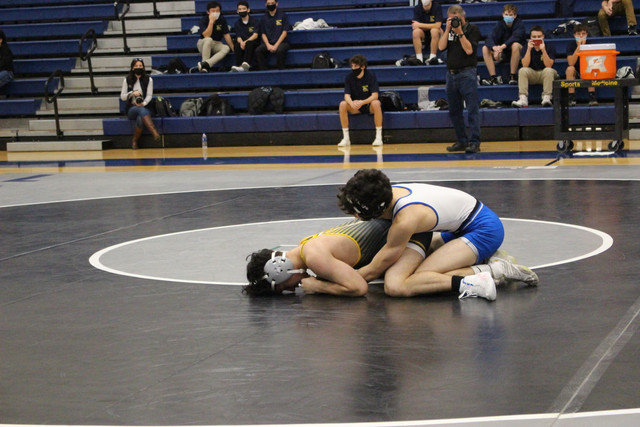 IMG-0335
