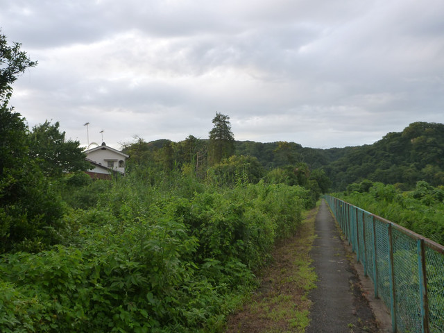 P1330681