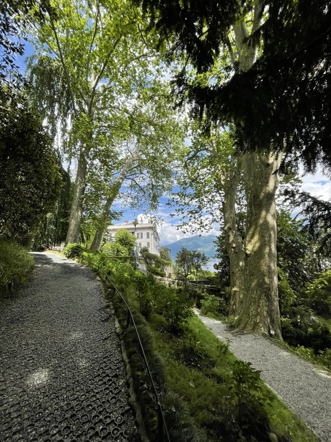 IMG-0625