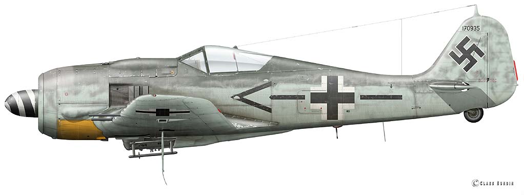 Fw-190-A-8-Hackl-JG-76.jpg
