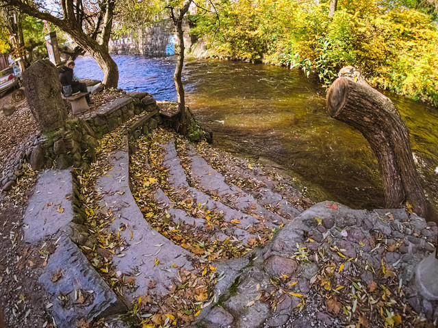 OLYMPUS-DIGITAL-CAMERA.jpg