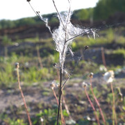 DSC3522
