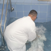 IMG-0452