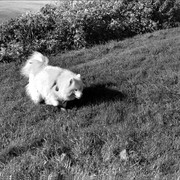 Scan-120910-0011