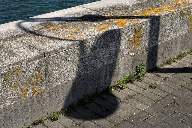 IMGP0097.jpg
