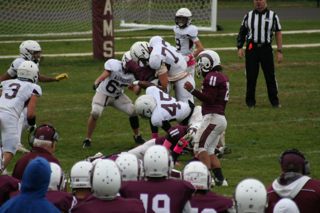 IMG-0728.jpg