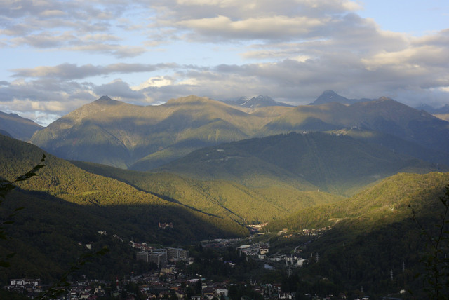 DSC7118.jpg