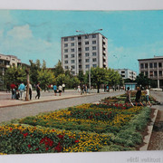 IMG-6445