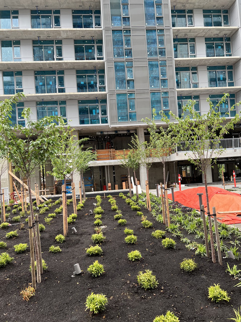 Century City - May 25, 2024