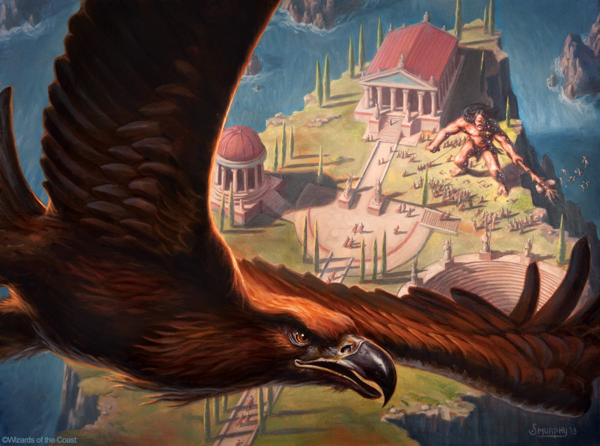eagle-watch