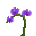 Orchid-Flower.png