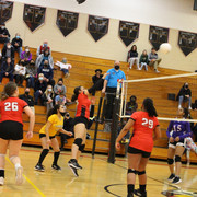 IMG-0084