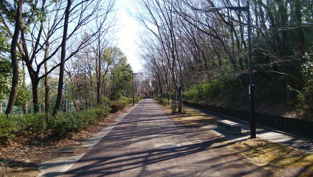 IMG-20230228-102304