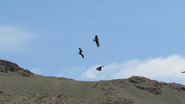 IMG 0473.jpg