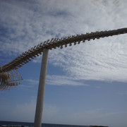 DSC00960