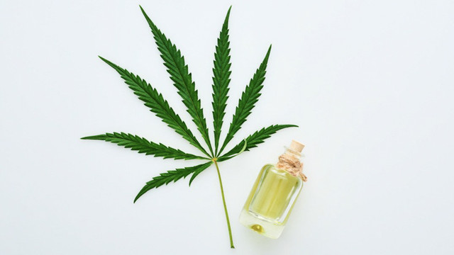 CBD-and-Hemp-Leaf