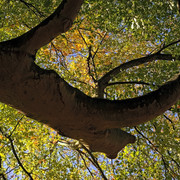 DSCF3545