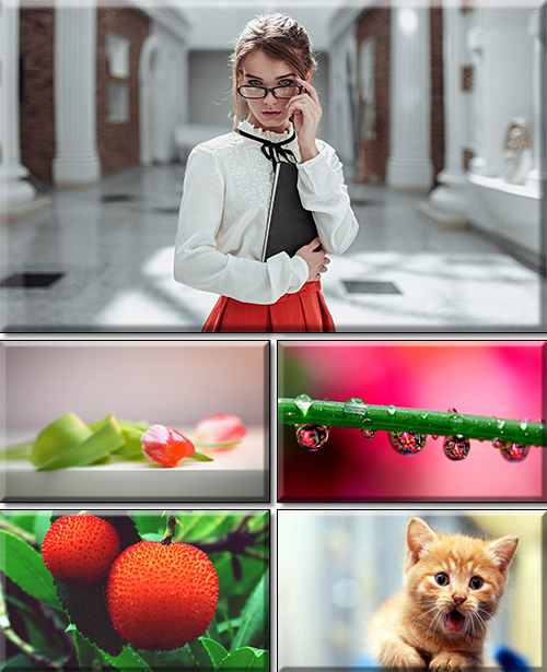 Computer Desktop Wallpapers Collection. Part 2997