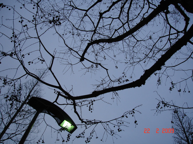 2009-02-22-08