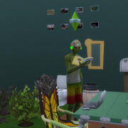 31