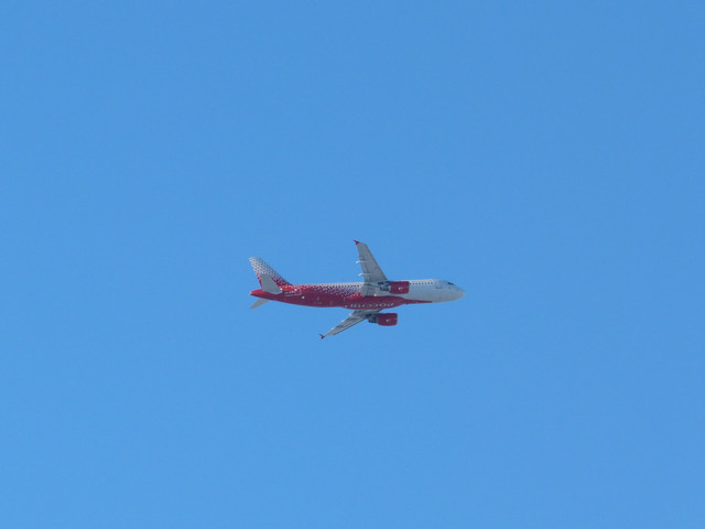 P1180516.jpg
