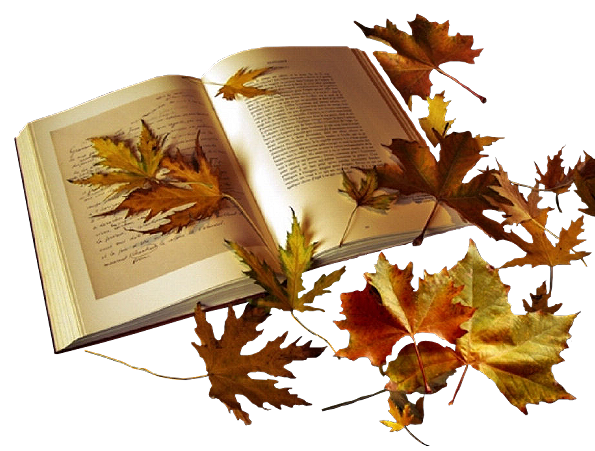 AH-Book-Autumn-0909-08