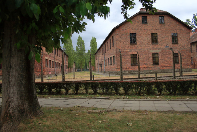 IMG-5864.jpg
