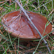 PA010140