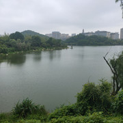 IMG20200713125627