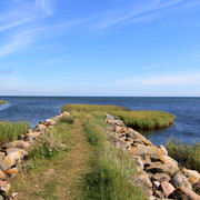 IMG-1456