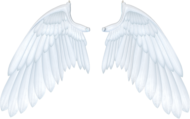 fae12angelwings12