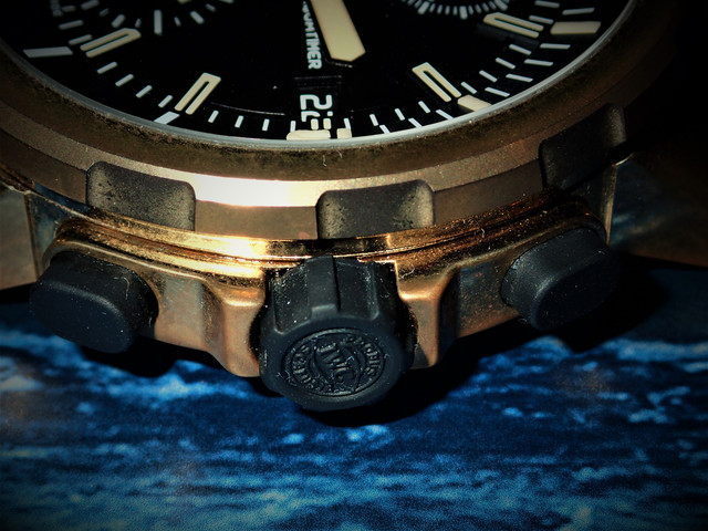 OLYMPUS-DIGITAL-CAMERA